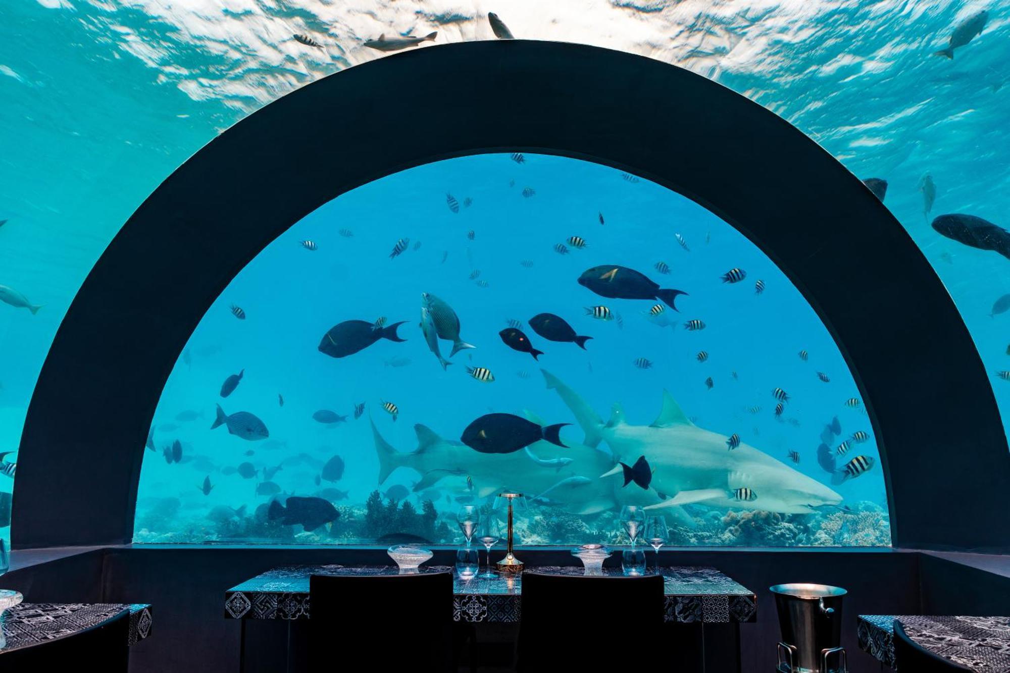 You & Me Maldives - Adults Only - Premium All-Inclusive Muravandhoo Esterno foto
